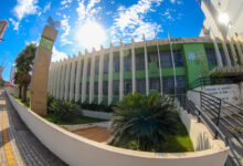 Faeg, balanço anual do setor agropecuário, perspectivas para 2025, Sistema Faeg/Senar/Ifag, Sistema Faeg