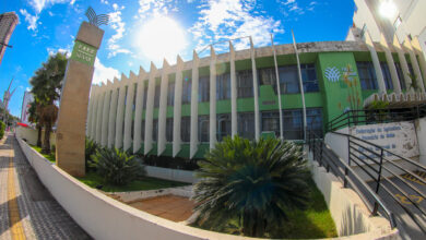 Faeg, balanço anual do setor agropecuário, perspectivas para 2025, Sistema Faeg/Senar/Ifag, Sistema Faeg