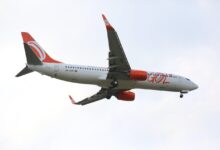 avião colide com pássaro, avião da Gol colide com pássaro, avião da Gol colide com pássaro Brasília, Aeroporto de Brasília, avião gol pássaro Brasília