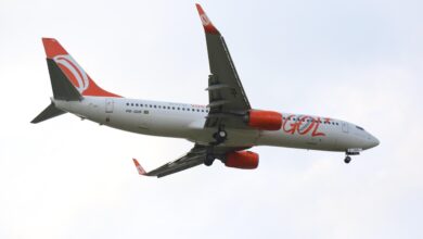 avião colide com pássaro, avião da Gol colide com pássaro, avião da Gol colide com pássaro Brasília, Aeroporto de Brasília, avião gol pássaro Brasília