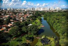 Goiânia Cidade Árvore do Mundo, Goiânia segunda capital mais arborizada do Brasil, Cidade Árvore do Mundo, Goiânia é reconhecida como Cidade Árvore do Mundo, Goiânia, Conferência Meio Ambiente Goiânia, Conferência do Meio Ambiente de Goiânia, 5ª Conferência de Meio Ambiente do Município de Goiânia, emergência climática, emergência climática Goiânia, áreas verdes, áreas verdes Goiânia, Goiânia supera em quase 8 vezes recomendação da ONU, Goiânia áreas verdes, áreas verdes por habitante Goiânia