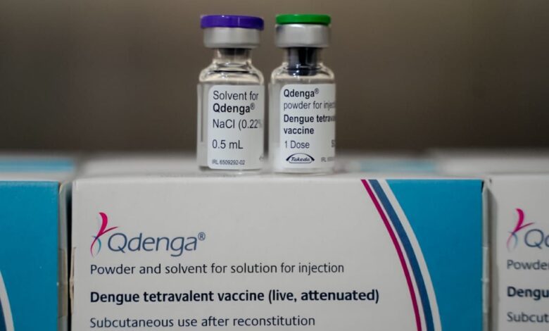 vacina contra a dengue, Qdenga, vacina Qdenga, vacina dengue Goiás, vacina Qdenga Goiás