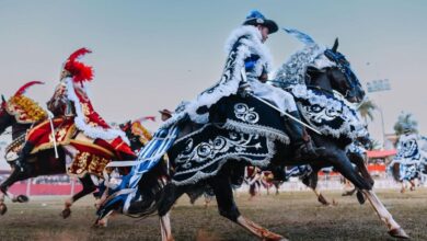 Circuito das Cavalhadas, Circuito das Cavalhadas 2024, atividades do Circuito das Cavalhadas 2024, exposição Circuito das Cavalhadas, Cavalhadas 2024