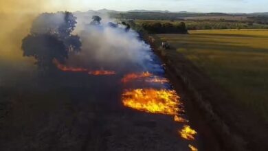 queimada criminosa, queimada criminosa BR-153, queimada criminosa BR-153 Uruaçu, PRF queimada criminosa BR-153 Uruaçu, queimada BR-153 Uruaçu