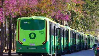 60 novos ônibus Goiânia, novos ônibus Goiânia, 60 novos ônibus, novos ônibus Transporte coletivo Goiânia, ônibus Transporte coletivo Goiânia