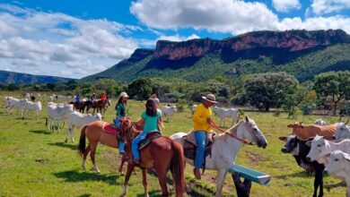 Nova Lei Geral do Turismo, Nova Lei Geral do Turismo em Goiás, Lei Geral do Turismo, turismo em Goiás, turismo Goiás