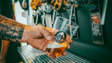 Brew Festival, Brew Festival Goiânia, Brew Festival Shopping Cerrado, shows Brew Festival Goiânia, Brew Festival em Goiânia