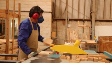 Indústria e serviços goianos, indústria Goiás, serviços goianos, segundo trimestre de 2024, indústria e serviços goianos crescem