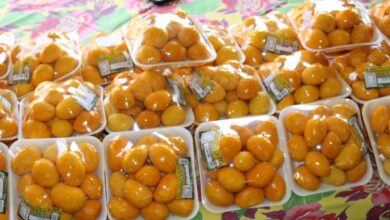 Festa do Pequi, Festa do Pequi da Ceasa Goiás, Festa do Pequi Goiânia, 4ª edição da Festa do Pequi, Festa do Pequi Ceasa Goiânia