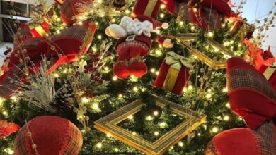 Aparecida Shopping, Papai Noel Aparecida Shopping, chegada do Papai Noel Aparecida Shopping, Aparecida Shopping Papai Noel, Natal Aparecida Shopping