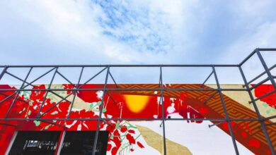 maior obra de arte 3D da América Latina, maior obra de arte 3D da América Latina Goiânia, Ananda Nahú, mural Ananda Nahú Goiânia, mural Ananda Nahú Flamboyant Urbanismo Goiânia