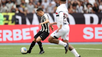 Botafogo, Botafogo Campeão Brasileiro, Botafogo Campeão Brasileiro 2024, Botafogo vence o São Paulo, Botafogo Campeão 2024