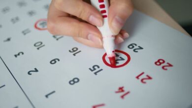 feriados nacionais e pontos facultativos de 2025, calendário de feriados nacionais e pontos facultativos de 2025, feriados e pontos facultativos 2025, feriados 2025, feriados em 2025