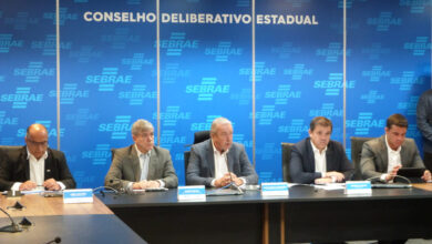 Sebrae, Sebrae Goiás, Sebrae resultados 2024 Goiás, Sebrae 2024 Goiás, Sebrae em Goiás