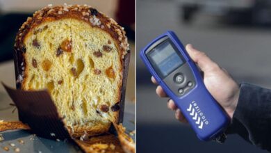 Panetone no bafômetro, Panetone bafômetro, teste panetones bafômetro, Panetone no bafômetro Detran, Panetone bafômetro Detran-GO