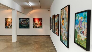 Robin MacGregor, exposição Robin MacGregor, exposição Robin MacGregor Goiânia, lorde inglês Robin MacGregor, exposição Robin MacGregor Museu de Arte de Goiânia