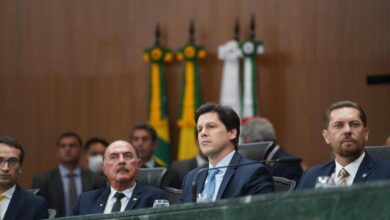 Daniel Vilela, Daniel Vilela Alego, Daniel Vilela Ano Legislativo, governador em exercício Daniel Vilela, governador Daniel Vilela