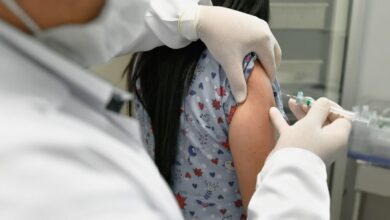 febre amarela, febre amarela no Brasil, febre amarela em Goiás, alerta OMS febre amarela Brasil, OMS febre amarela Brasil