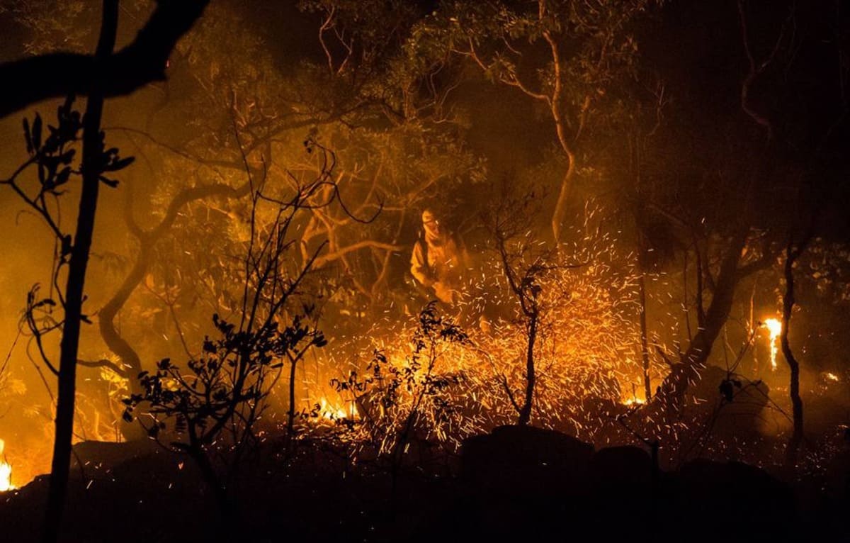 Goiás investe R$ 1 milhão na prevenção de incêndios no Cerrado