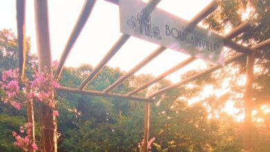 Caminho dos Bougainvilles, turismo urbano, Caminho dos Bougainvilles Goiânia, roteiro Caminho dos Bougainvilles Goiânia, lançamento Caminho dos Bougainvilles Goiânia