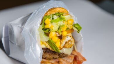 Circuito X, festival de pitdogs, festival de pitdogs de Goiânia, festival de pitdogs Goiânia, Festival Circuito X pitdogs Goiânia