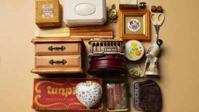 evento artes antiguidades colecionismo Goiânia, Bouga Retrô, Bouga Retrô Shopping Bougainville, evento de colecionismo Goiânia, antiguidades em Goiânia