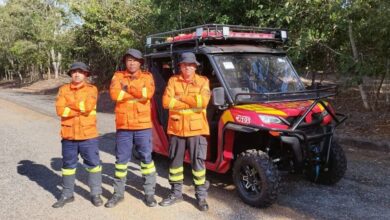 incêndios florestais, unidades de Conservação de Goiás, Corpo de Bombeiros e Semad, combate aos incêndios florestais, incêndios florestais Goiás