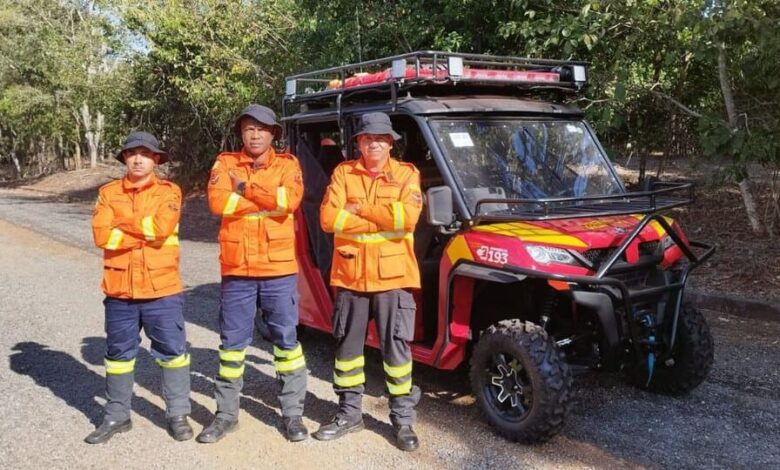 incêndios florestais, unidades de Conservação de Goiás, Corpo de Bombeiros e Semad, combate aos incêndios florestais, incêndios florestais Goiás