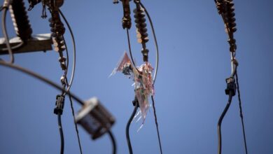 rede elétrica em Goiás, pipas na rede elétrica em Goiás, pipas rede elétrica Goiás, Equatorial Goiás, pipas rede elétrica
