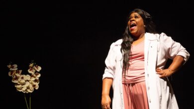 Cacau Protásio, Cacau Protásio Goiânia, Cacau Protásio Anápolis, Cacau Protásio 100 Por Cento Cacau, espetáculo Cacau Protásio Goiânia