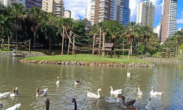 Zoológico de Goiânia, gripe aviária, morte de um cisne negro, morte de cisne negro, morte de cisne negro Zoológico de Goiânia
