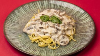 Festival Italiano de Nova Veneza, Festival Italiano de Nova Veneza 2025, 19º Festival Italiano de Nova Veneza, Festival de Nova Veneza, Cantina da Nonna Festival de Nova Veneza