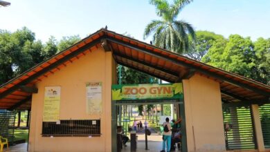 Zoológico de Goiânia, gripe aviária, Zoológico Goiânia, Zoológico de Goiânia reabre, Zoológico de Goiânia gripe aviária