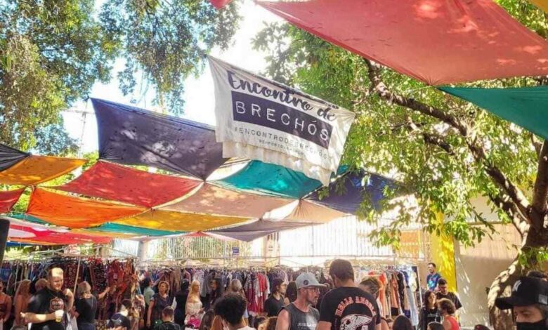 Encontro de Brechós, maior edição do ano do Encontro de Brechós, Encontro de Brechós Goiânia, Encontro de Brechós Centro de Goiânia, Encontro de Brechós em Goiânia, Encontro de Brechós, Encontro de Brechós Goiânia, Encontro de Brechós Arraiá Goiânia, Encontro de Brechós Rua 8 Goiânia, Zé Latinhas