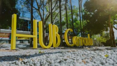 Cerrado Talks Venture Capital Decodificado Hub Cerrado Goiânia, Cerrado Talks, Venture Capital Decodificado, Hub Cerrado, investimentos startups Goiânia