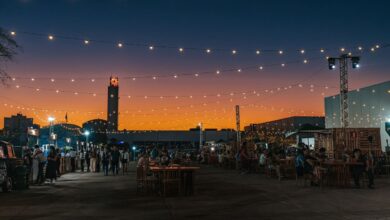 Flamboyant Garden Festival, Flamboyant Garden Festival 2025, programação Flamboyant Garden Festival 2025, Flamboyant Garden Festival programação, Flamboyant Garden Festival Goiânia