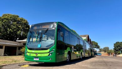 Romaria de Trindade 2025, Festa do Divino Pai Eterno, transporte coletivo Romaria de Trindade 2025, transporte coletivo Romaria de Trindade, ônibus Romaria de Trindade 2025