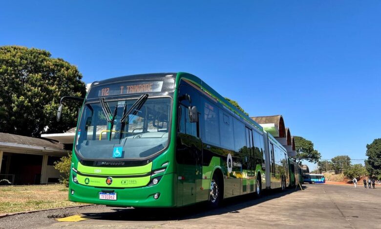 Romaria de Trindade 2025, Festa do Divino Pai Eterno, transporte coletivo Romaria de Trindade 2025, transporte coletivo Romaria de Trindade, ônibus Romaria de Trindade 2025