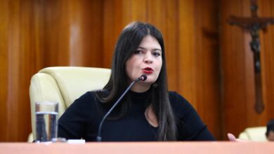 Aava Santiago, Calçadão da Rua 8, Centro de Goiânia, Aava Santiago Calçadão da Rua 8, Rua do Lazer Goiânia