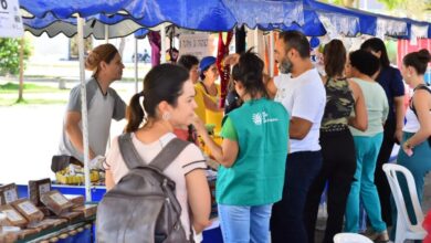 Feiras em Aparecida de Goiânia, Feiras Aparecida de Goiânia, lista de feiras livres em Aparecida de Goiânia, feiras livres Aparecida de Goiânia, feiras em Aparecida