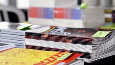 Gibirama, Gibirama Goiânia, palestra com artista da Marvel Gibirama Goiânia, Feira Goiana de Histórias em Quadrinhos, feira Gibirama Goiânia