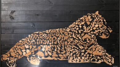 Dia do Cerrado, exposição Dia do Cerrado Goiânia, exposição Dia do Cerrado Passeio das Águas Shopping Goiânia, exposição Arte Cerrado Goiânia, exposição Dia do Cerrado