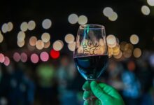 Opus WineJazz Goiânia, Opus WineJazz Goiânia 2026, WineJazz Goiânia, Opus WineJazz, festival Opus WineJazz Goiânia, Wine Jazz, Wine Jazz Goiânia, festival Wine Jazz Goiânia, festival vinhos jazz Goiânia, jazz Goiânia