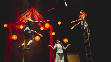 Festival de Circo Fora do Eixo, 2ª edição do Festival de Circo Fora do Eixo, Festival de Circo Fora do Eixo Goiânia, festival circo Goiânia, circo Goiânia