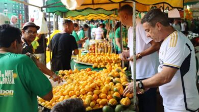 Festa do Pequi, Festa do Pequi em Goiânia, Festa do Pequi Goiânia, Festa do Pequi Ceasa Goiás Goiânia, Ceasa Goiás