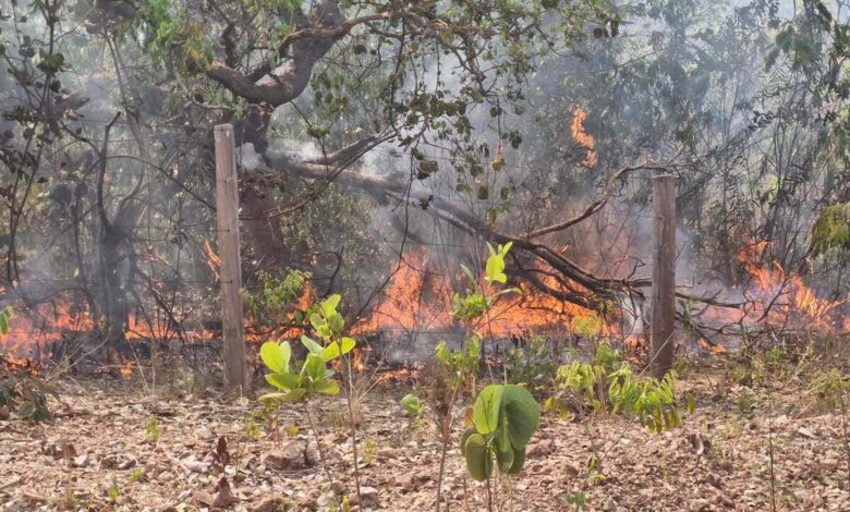 Chapada dos Veadeiros, incêndios na Chapada dos Veadeiros, incêndios Chapada dos Veadeiros, incêndios florestais Chapada dos Veadeiros, incêndios região Chapada dos Veadeiros