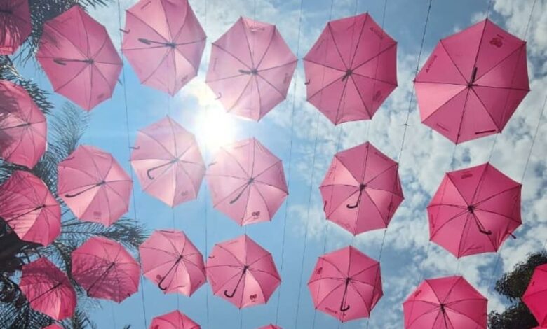 Outubro Rosa em Goiânia, Outubro Rosa 2025 em Goiânia, Outubro Rosa Goiânia, túnel de guarda-chuvas cor-de-rosa, Outubro Rosa