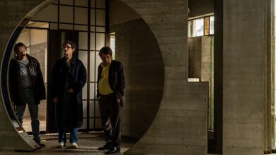 20º Festival de Cinema Italiano no Brasil, Festival de Cinema Italiano Goiânia, 20º Festival de Cinema Italiano no Brasil Goiânia, Festival Cinema Italiano Goiânia, Festival Cinema Italiano Teatro Sesc Centro Goiânia