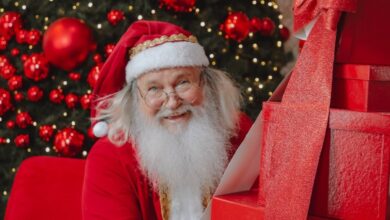 Papai Noel chega ao Shopping Cerrado, chegada do Papai Noel no Shopping Cerrado, chegada do Papai Noel Shopping Cerrado, Shopping Cerrado, Natal Shopping Cerrado