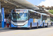 Transporte coletivo gratuito eleição Goiânia, transporte coletivo gratuito Goiânia eleições, transporte coletivo gratuito, ônibus gratuito eleições, ônibus gratuito, meia tarifa terminal cruzeiro, terminal cruzeiro, terminal cruzeiro meia tarifa, linhas meia tarifa terminal cruzeiro, terminal cruzeiro linhas meia tarifa